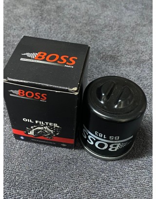 RKS VİESTE 249 YAĞ FİLTRESİ